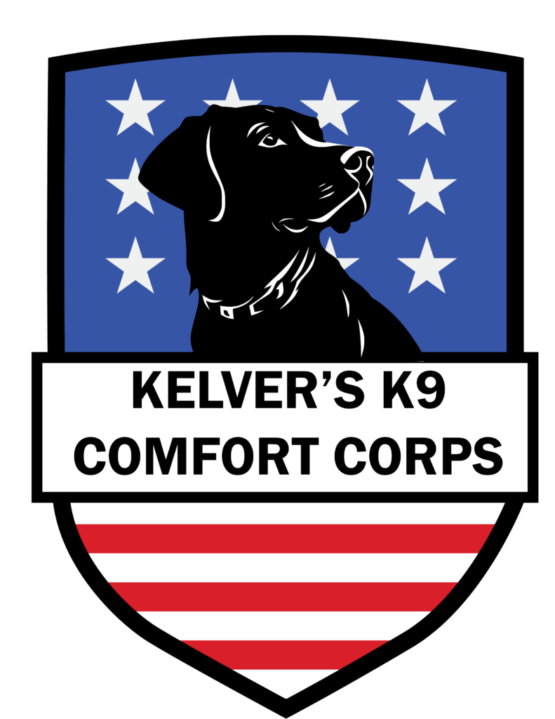 Service dog looking to the right in front of a blue with white stars background similar to the USA flag. The words "Kelver's K9 Comfort Corps" appear in black on a white background above a section of red and white stripes to complement the blue and stars background